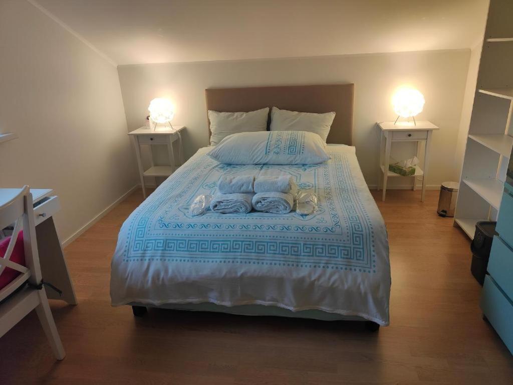 Chambre Zen Et Calme Le Bouveret Exterior foto